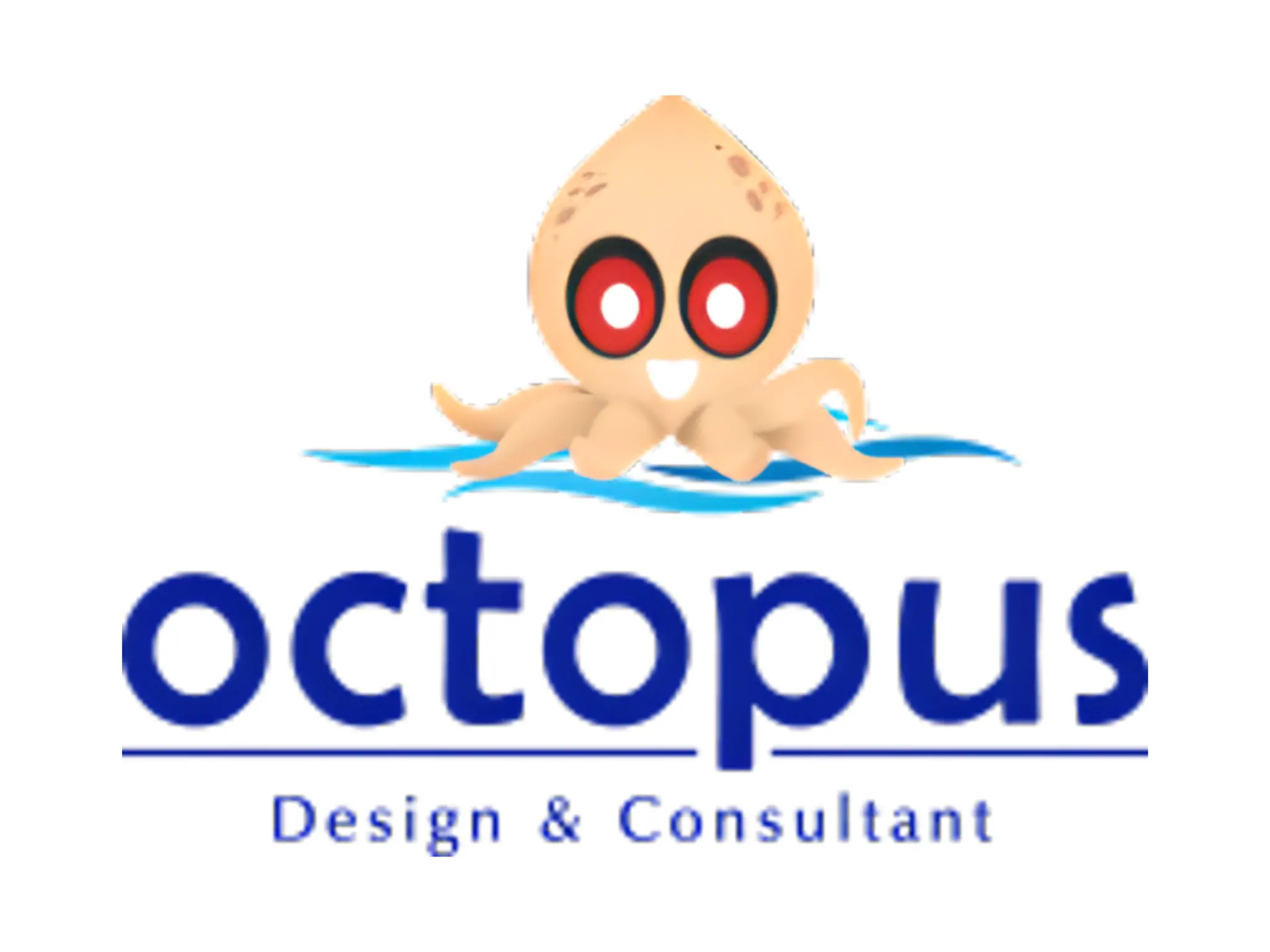 OCTOPUS DESIGN & CONSULTANT