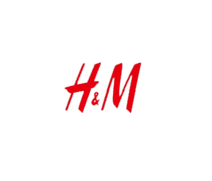 Zoom Visual Client - H&M Logo