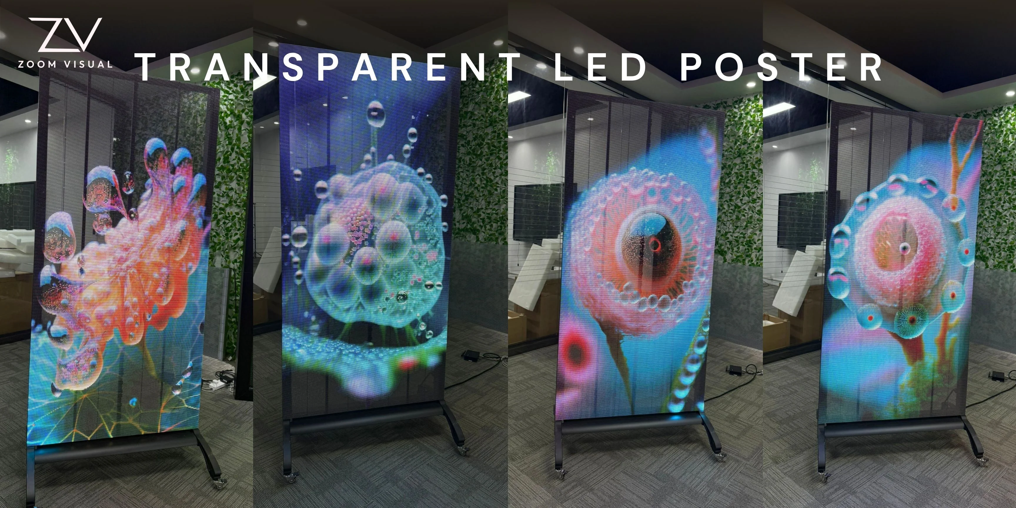 Transparent LED Poster showing its transparency with different beautiful content.